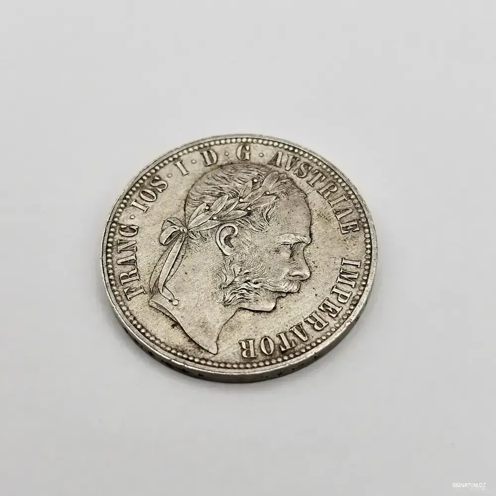 Stříbrný 1 Zlatník 1876 (Florin) | Nádherná patina